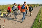 Nordic Walking